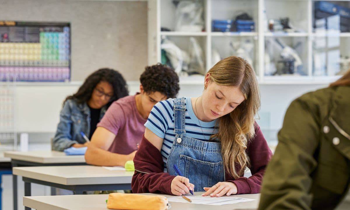 Brevet blanc 2026 : comment le préparer et le réussir ?