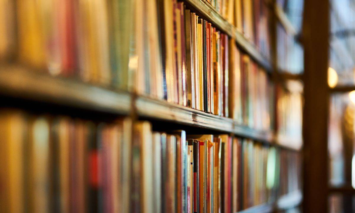 Tout savoir sur le programme d'histoire de 3ème