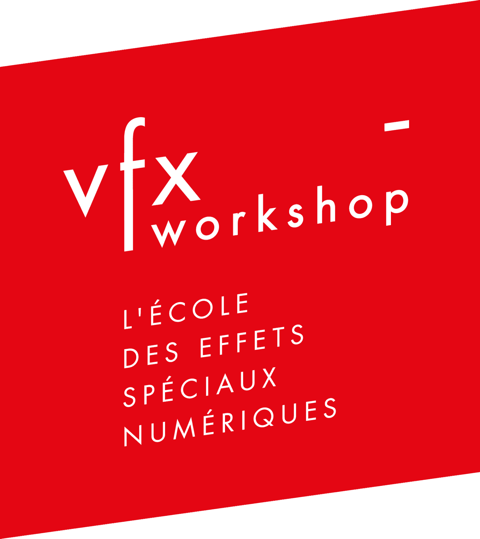 logo de vfx workshop