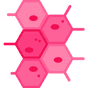 Image d'illustration