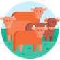 Image d'illustration