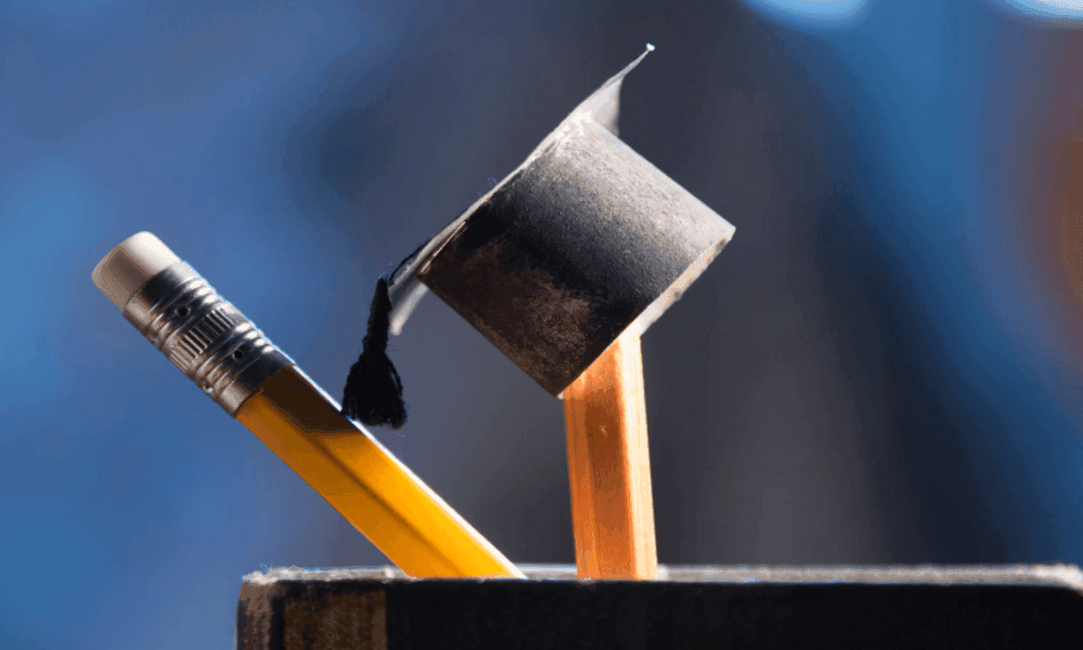 Rapport OCDE 2025 : les chiffres clés de l’éducation en France