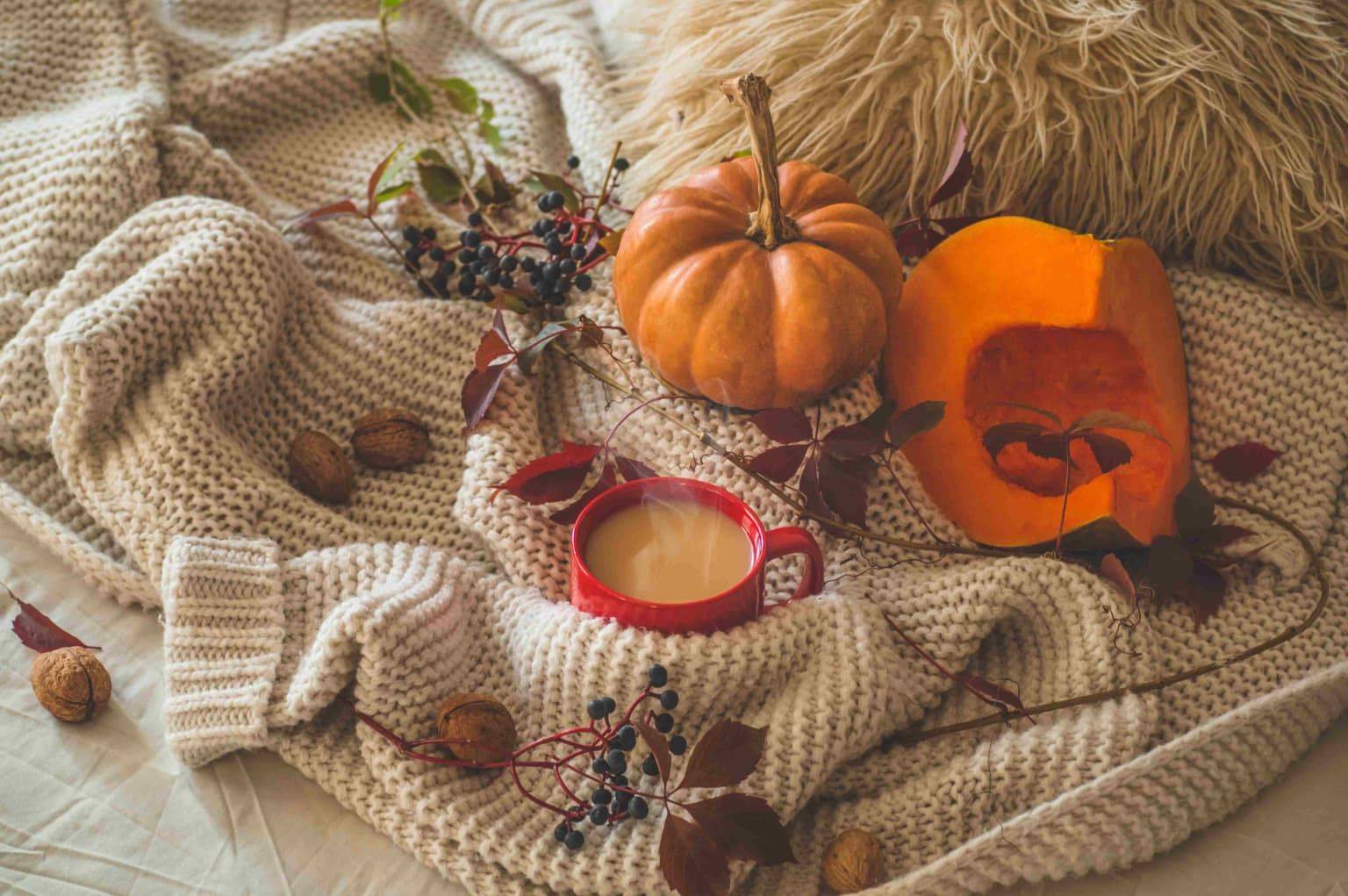 Que faire pendant les vacances dâautomne ? đ