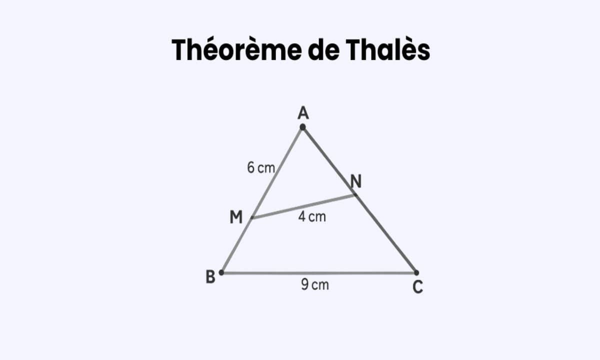 Exercices sur le théorème de Thalès : bien se préparer au Brevet de maths