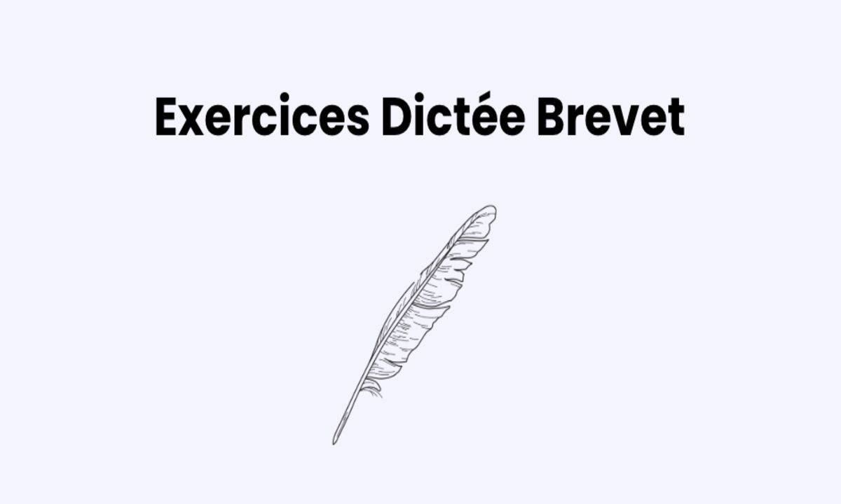Sujet Dictée Brevet : Alphonse Daudet, Wood’stown (Amérique du Nord, 2024)