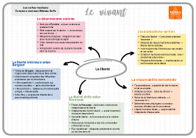 Image d'illustration