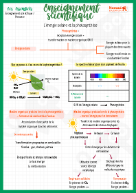 Image d'illustration
