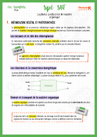Image d'illustration