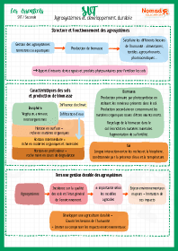 Image d'illustration