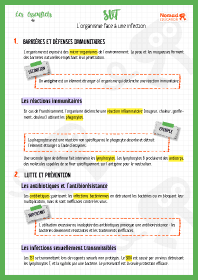 Image d'illustration