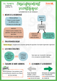 Image d'illustration