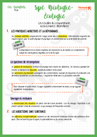 Image d'illustration