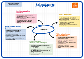 Image d'illustration