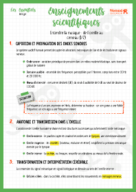 Image d'illustration