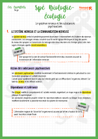 Image d'illustration