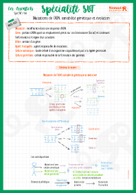 Image d'illustration