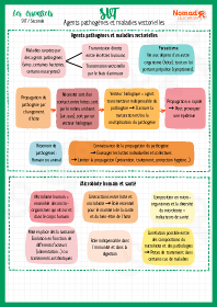 Image d'illustration