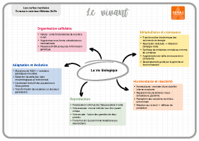 Image d'illustration