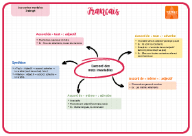 Image d'illustration