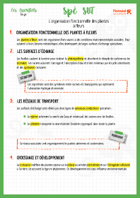 Image d'illustration