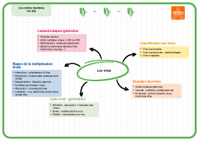 Image d'illustration