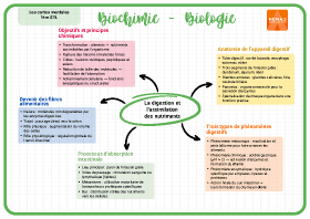 Image d'illustration