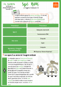 Image d'illustration