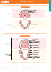 Image d'illustration