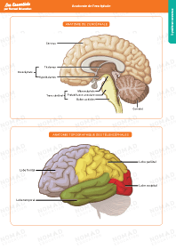 Image d'illustration