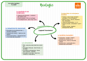 Image d'illustration