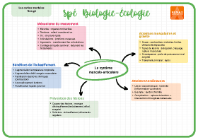 Image d'illustration