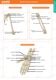 Image d'illustration