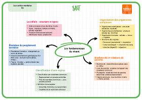 Image d'illustration
