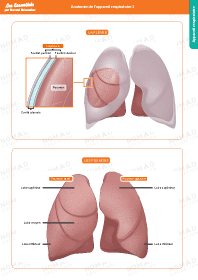 Image d'illustration