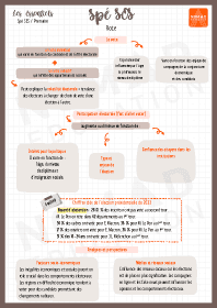 Image d'illustration