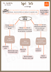 Image d'illustration