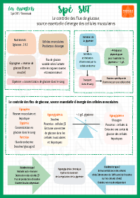 Image d'illustration