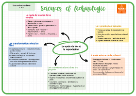 Image d'illustration