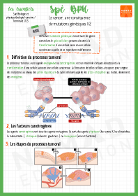 Image d'illustration