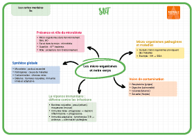 Image d'illustration