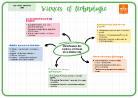 Image d'illustration