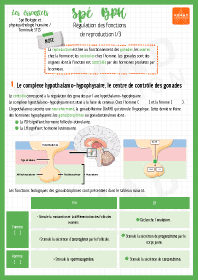 Image d'illustration