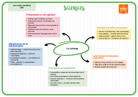 Image d'illustration