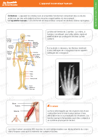 Image d'illustration