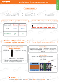 Image d'illustration