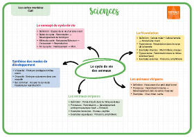 Image d'illustration