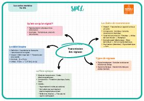 Image d'illustration