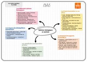 Image d'illustration