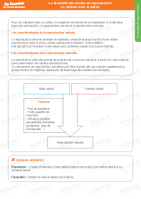 Image d'illustration