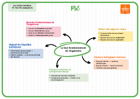 Image d'illustration